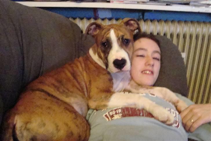 Blanding af racer Cassie - mor og cassie..  <3 billede 4