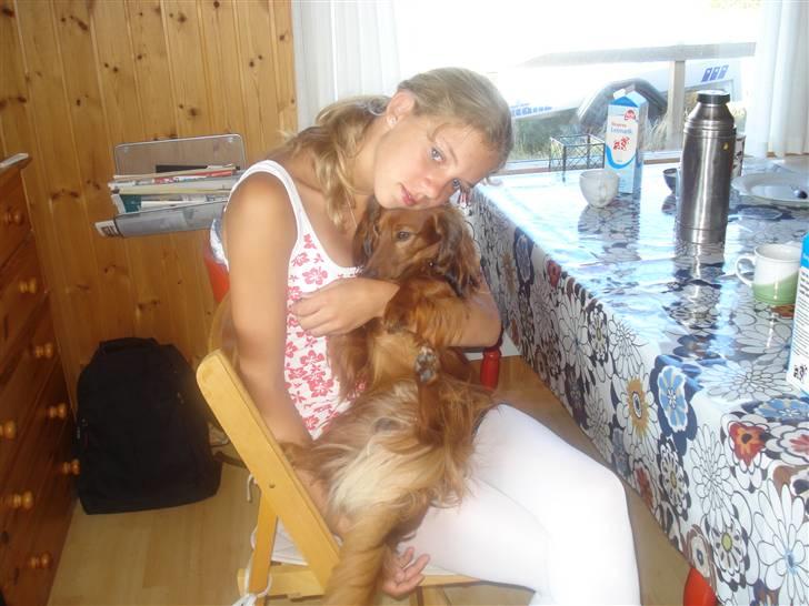 Gravhund Basse - der er nu ikke noget som en hygge stund oppe ved Gitte billede 9