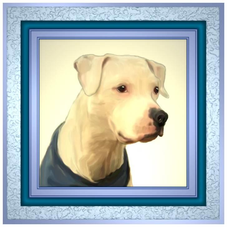 Blanding af racer Checco - Et billede som søde Hanne har været kreativ med.  billede 5