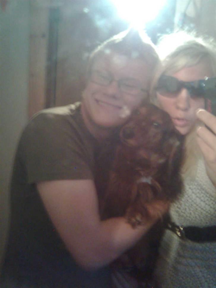 Gravhund basse - de glade ejer af basse :D  billede 12