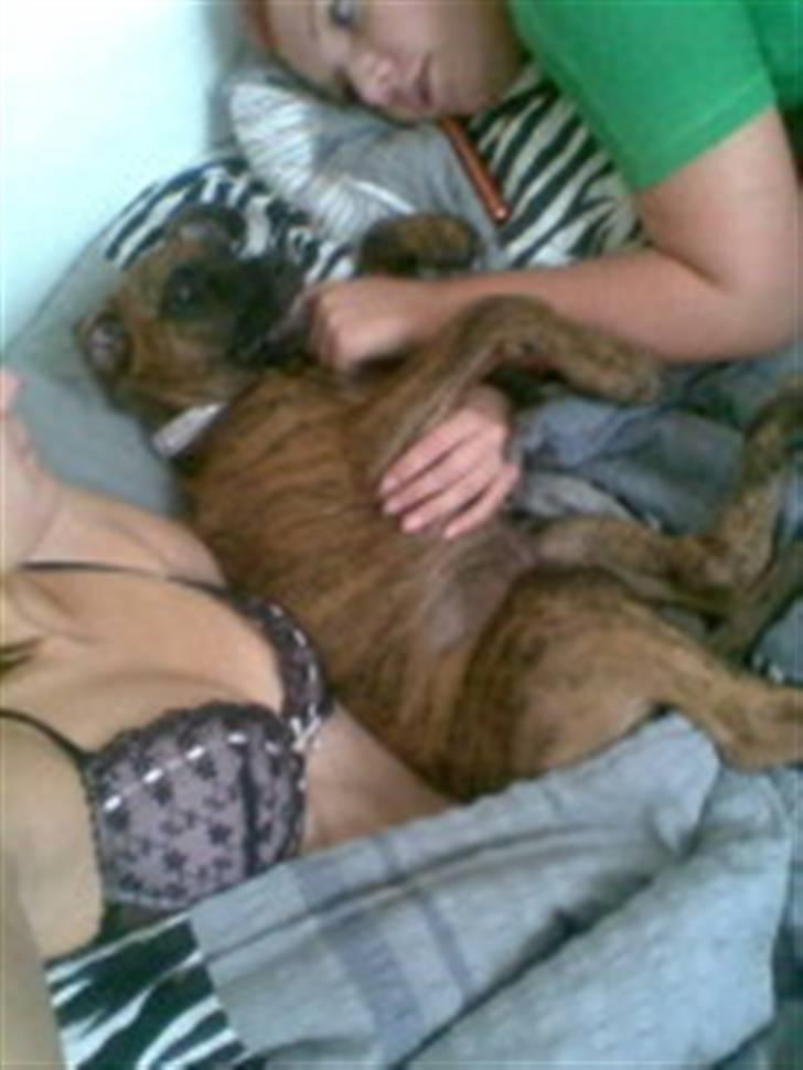Blanding af racer R.I.P tøsen<3 - va tager lige en lille lur billede 7