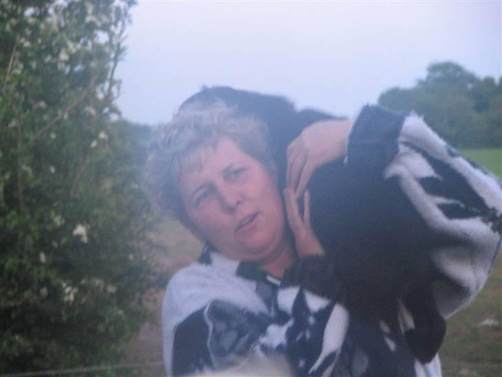 Blanding af racer Gustav billede 2