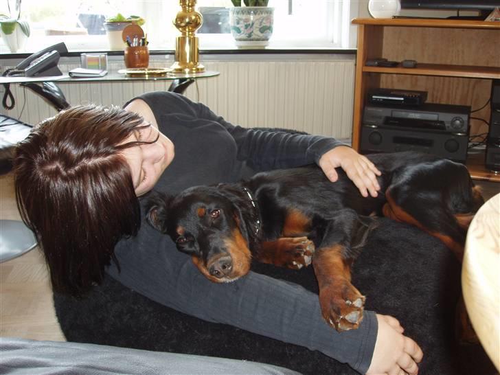 Gordon setter Wøkk´s Andi - Andi og mig i sækkestolen billede 8