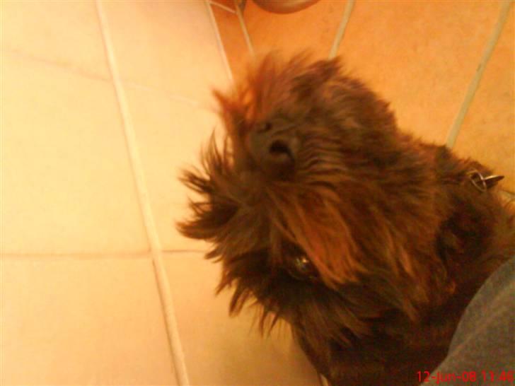 Blanding af racer Leica billede 12