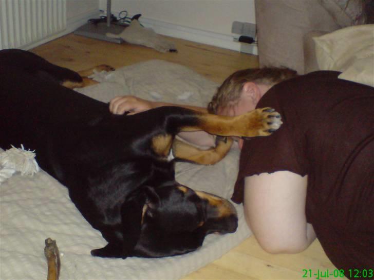 Blanding af racer Freja (Udfordring?)  - mor og mig billede 18