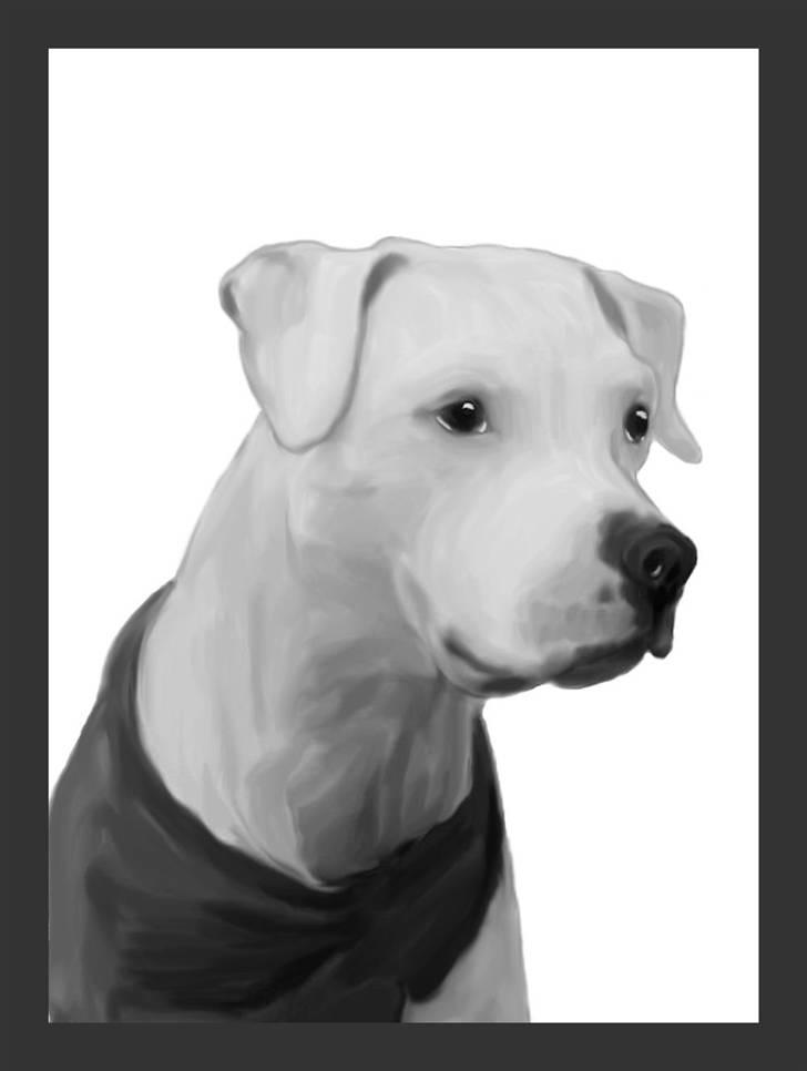 Blanding af racer Checco - Et sort hvid billede som søde Hanne har lavet. Du er en skat. Tusind tak billede 13