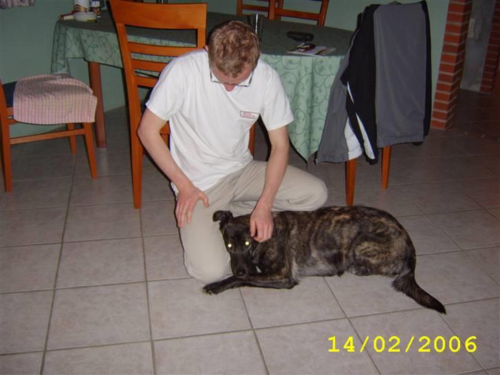 Blanding af racer Mini billede 5