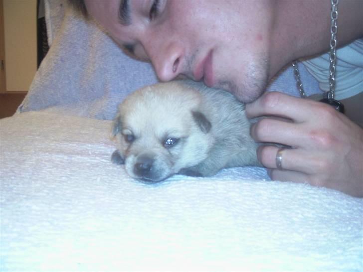 Blanding af racer TriQo - Far giver mig en lille mys billede 14