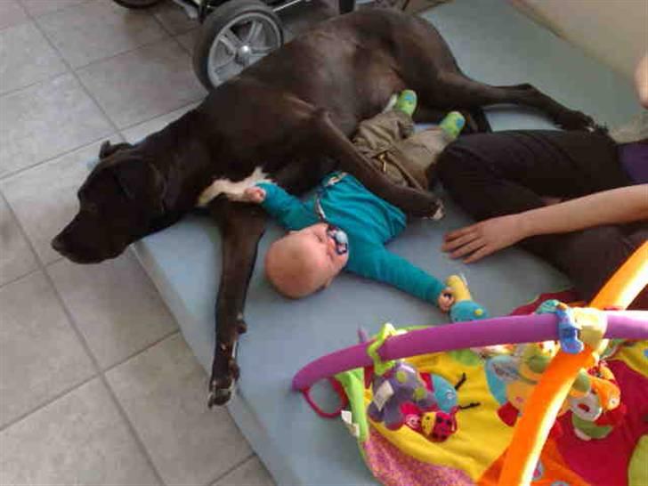 Blanding af racer nikita  R.I.P - ja ja, skal nok passe på dig, holder jo ved dig.  billede 10