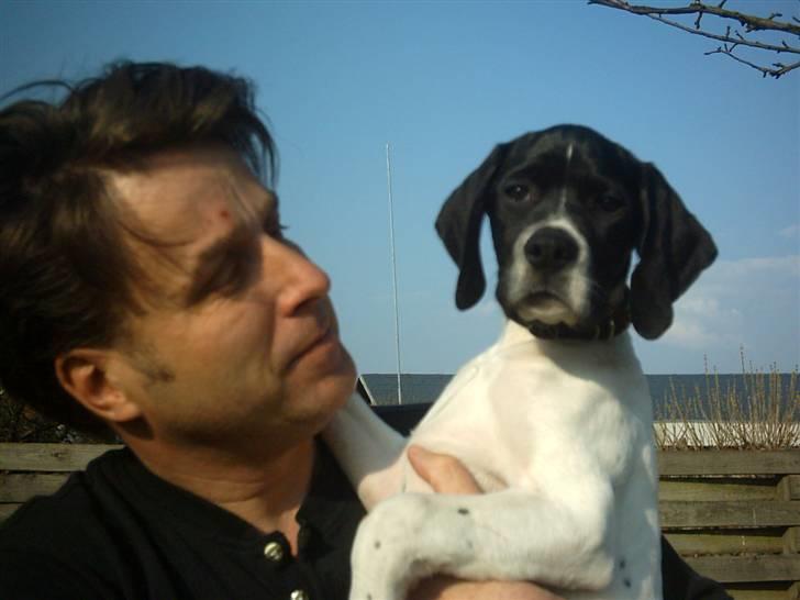 Pointer Victor billede 10