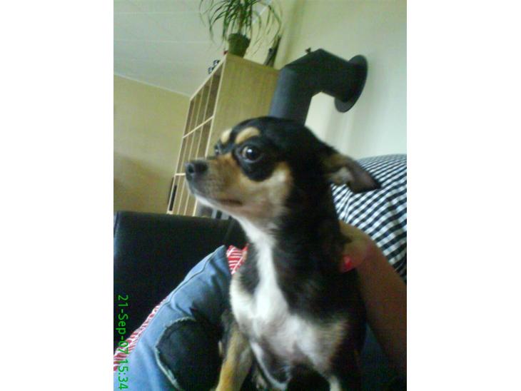 {{currentPhoto.altText}} billede {{currentPhoto.number}}