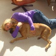 Boxer Rocki