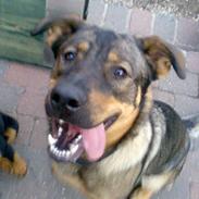 Blanding af racer Diesel