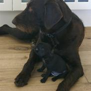 Blanding af racer Mille