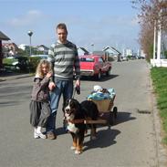 Berner sennenhund Bianca