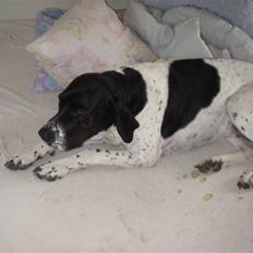 Blanding af racer freja