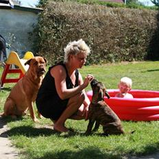 Blanding af racer Baloo