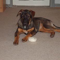 Blanding af racer Emma