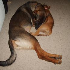 Blanding af racer Emma