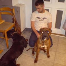 Boxer Zafira *minde*