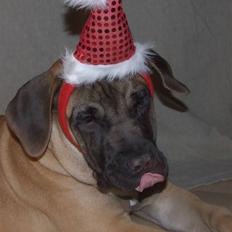 Blanding af racer Rathmann Akua Alba