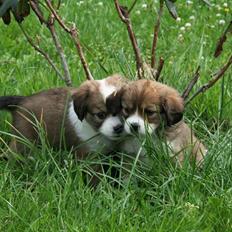 Blanding af racer tulle