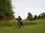 Border collie Trille