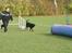 Blanding af racer Samson - Klubmesterskab 2007 agility