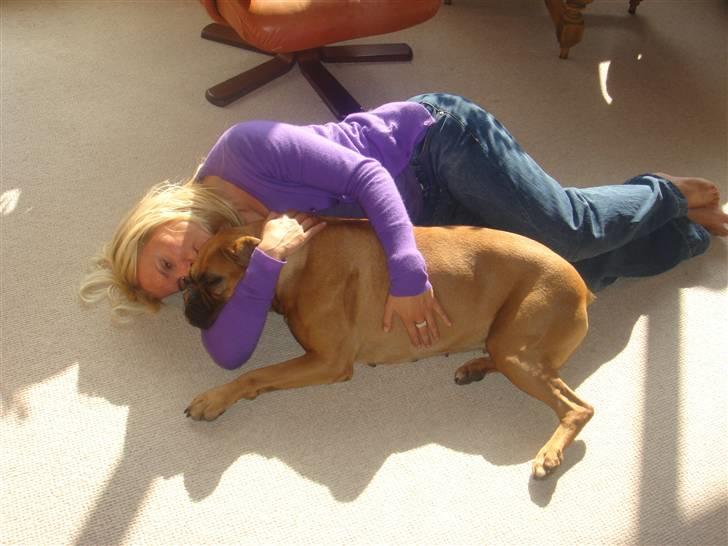 Boxer Rocki billede 5