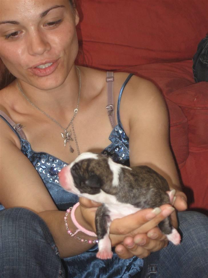 Blanding af racer Lucy - :D Lucy og mig  billede 8