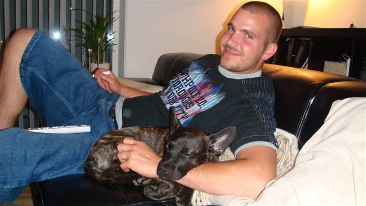 Blanding af racer Liva - Ligger og putter i farmands trygge arm. billede 2