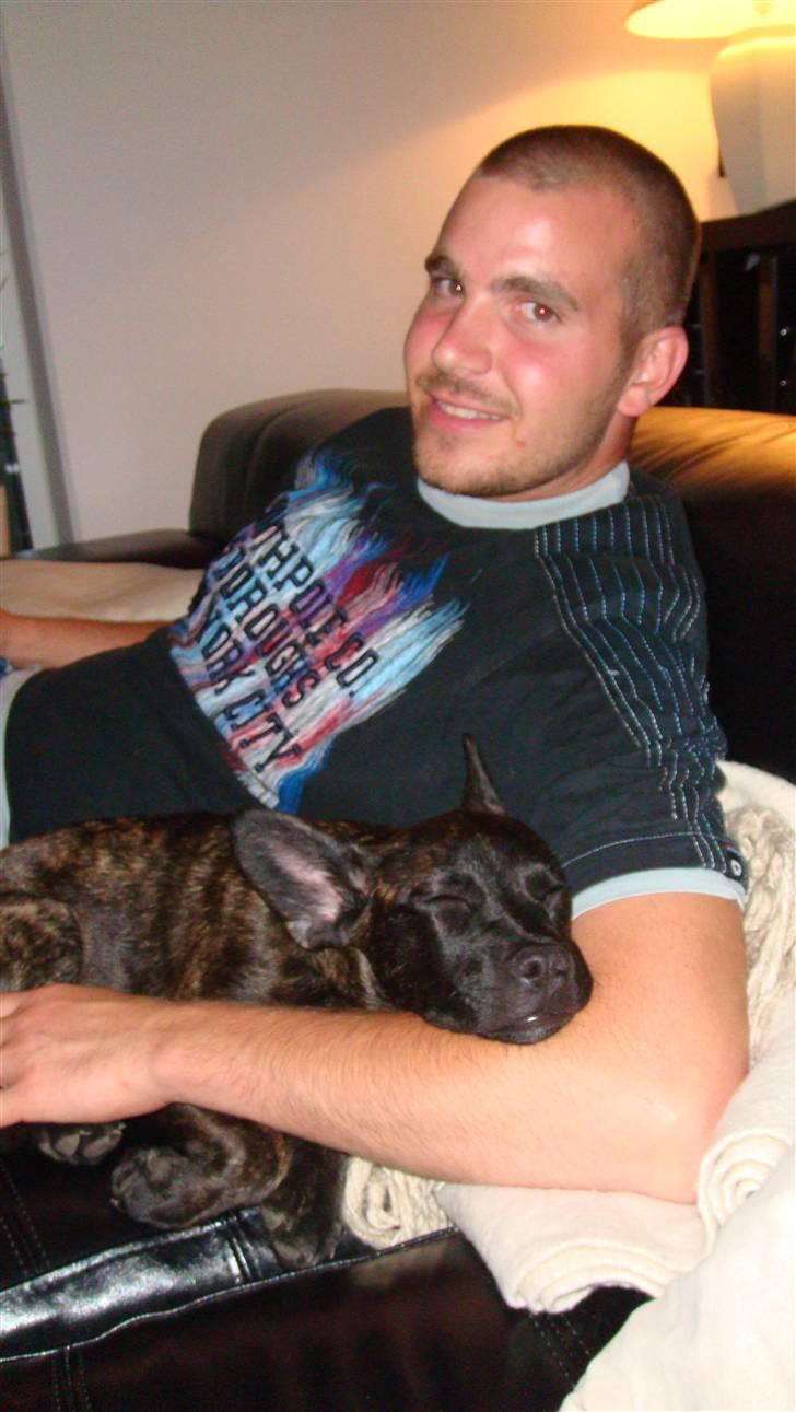 Blanding af racer Liva - Ligger og putter i farmands trygge arm. billede 3