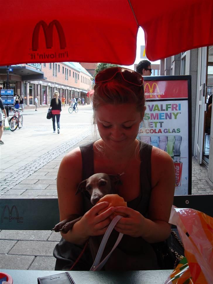 Italiensk mynde Fergie billede 16