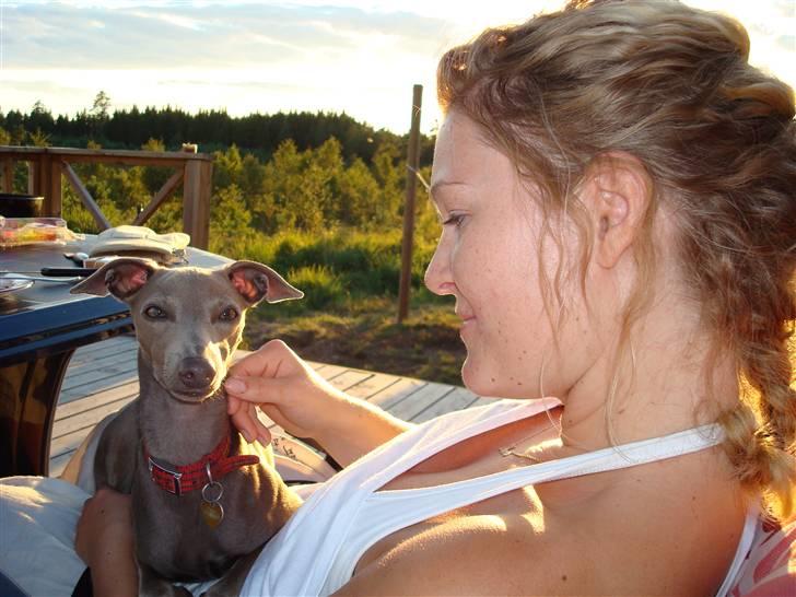 Italiensk mynde Fergie billede 18