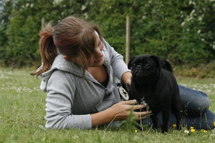 Mops emma *himmelhund* - så var der lige 2 sek til at blive kløet lidt :) billede 15