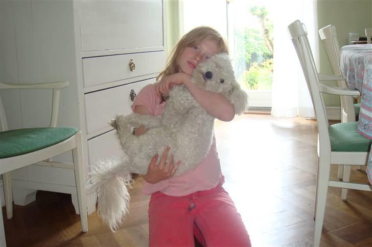 Blanding af racer Billy "Greece" - et gammelt billede lige da vi havde fået ham hjem <3 han er så fin! billede 6