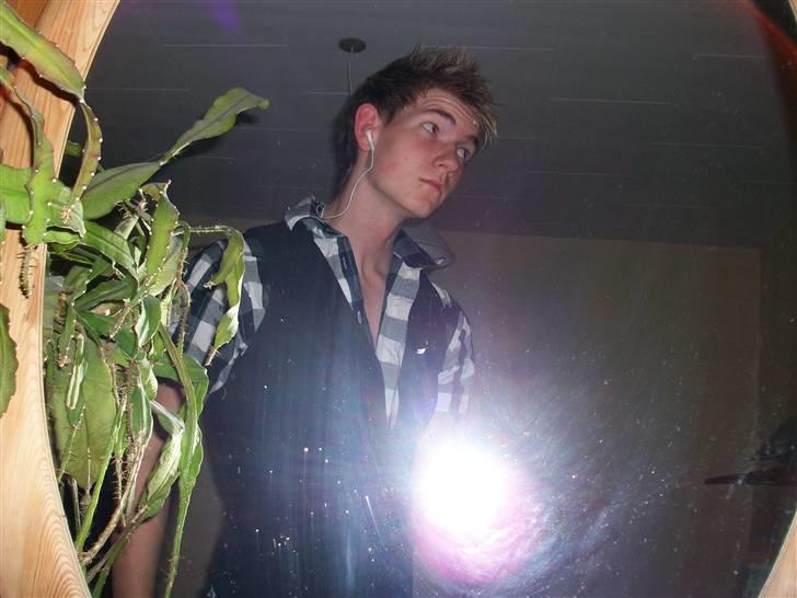 Dansk svensk gaardhund Sussi :) - den stolte ejer :p Silas  billede 8