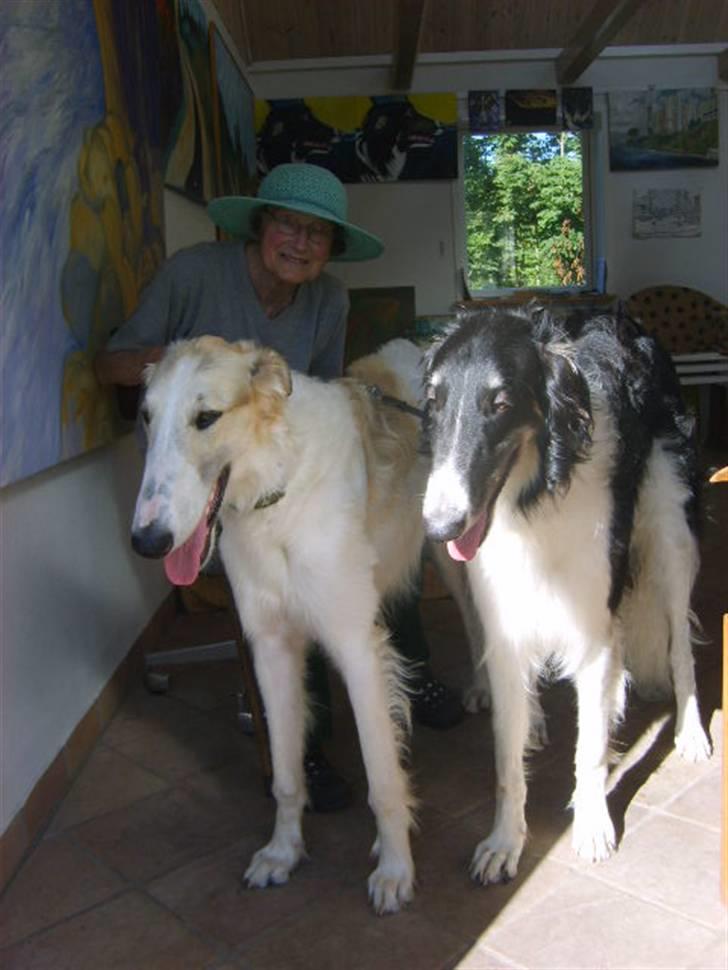 Borzoi Lhaghana Koztya billede 18