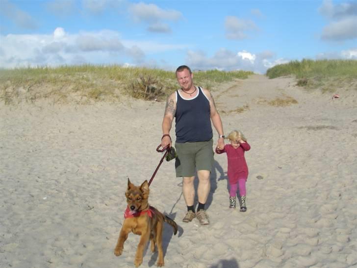 Blanding af racer bandit billede 16