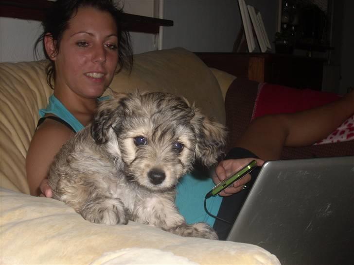 Blanding af racer Mika Joe billede 1