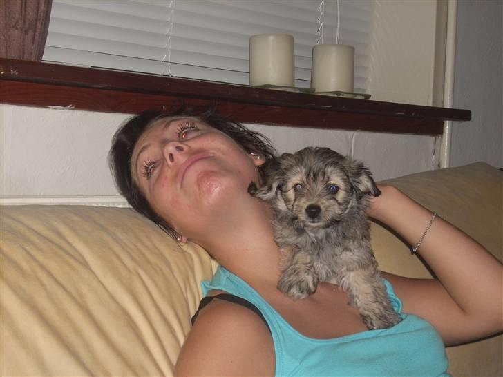 Blanding af racer Mika Joe billede 3