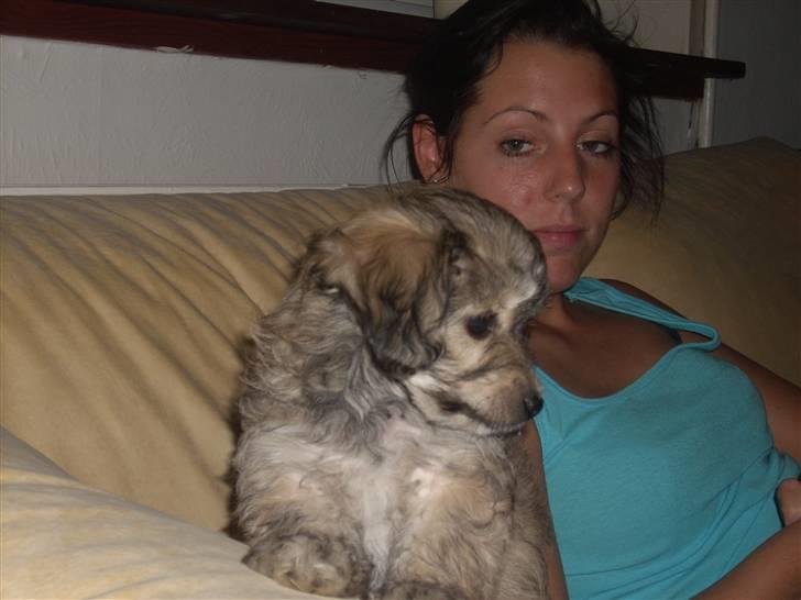 Blanding af racer Mika Joe billede 4