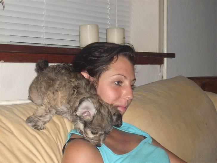 Blanding af racer Mika Joe billede 5