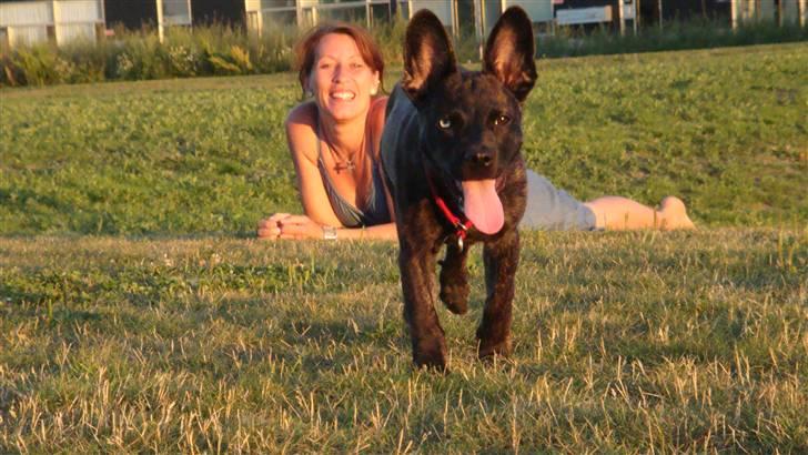 Blanding af racer Liva - Jeg elsker at løbe... billede 8