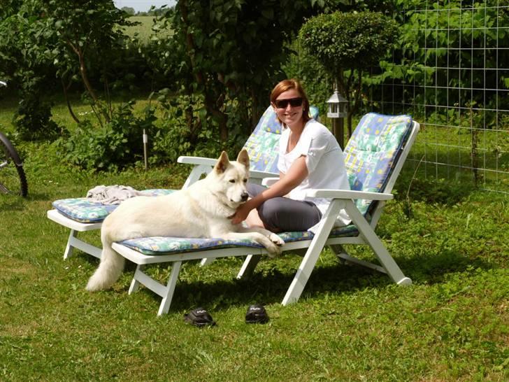 Blanding af racer *R.I.P* Hannibal - 17-07-2010 billede 1