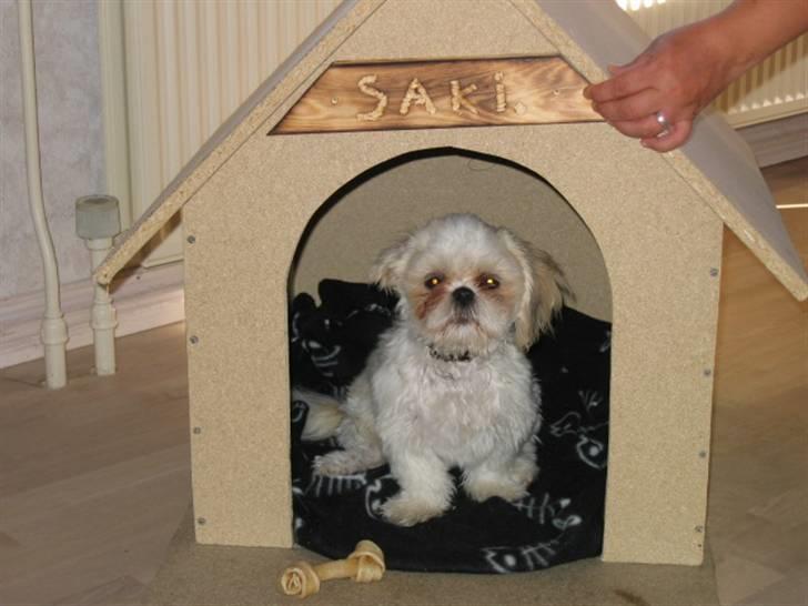 Shih tzu Saki - Saki´s nye hundehus billede 4
