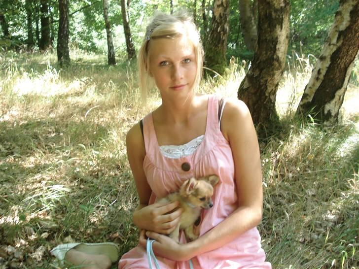 Chihuahua speddy - "mor" og søn ;´) billede 4