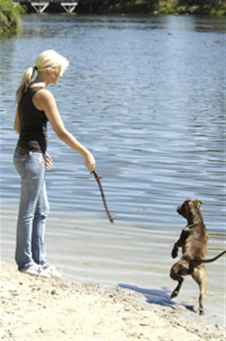 Blanding af racer Kira - Kira & mor leger :) billede 6