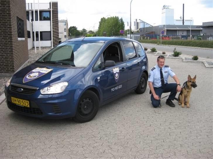 Schæferhund Neela *Himmelhund* - Neela og jeg på job! =) billede 9