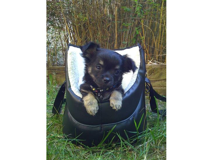 {{currentPhoto.altText}} billede {{currentPhoto.number}}